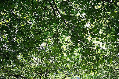 2D像素风地下城RPG游戏《新月之塔》将在今年登录PC平台