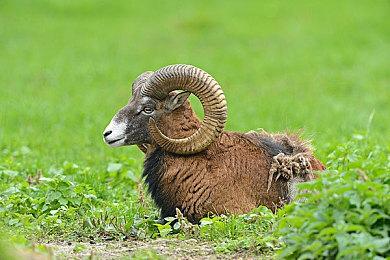 Dr Disrespect的游戏工作室在大裁员四个月后彻底关门